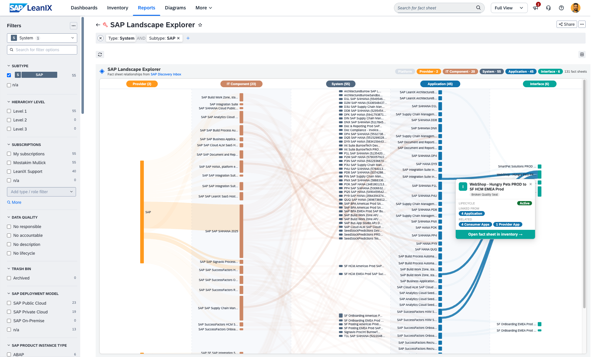 Screenshot of SAP Landscape Explorer (Sankey View)